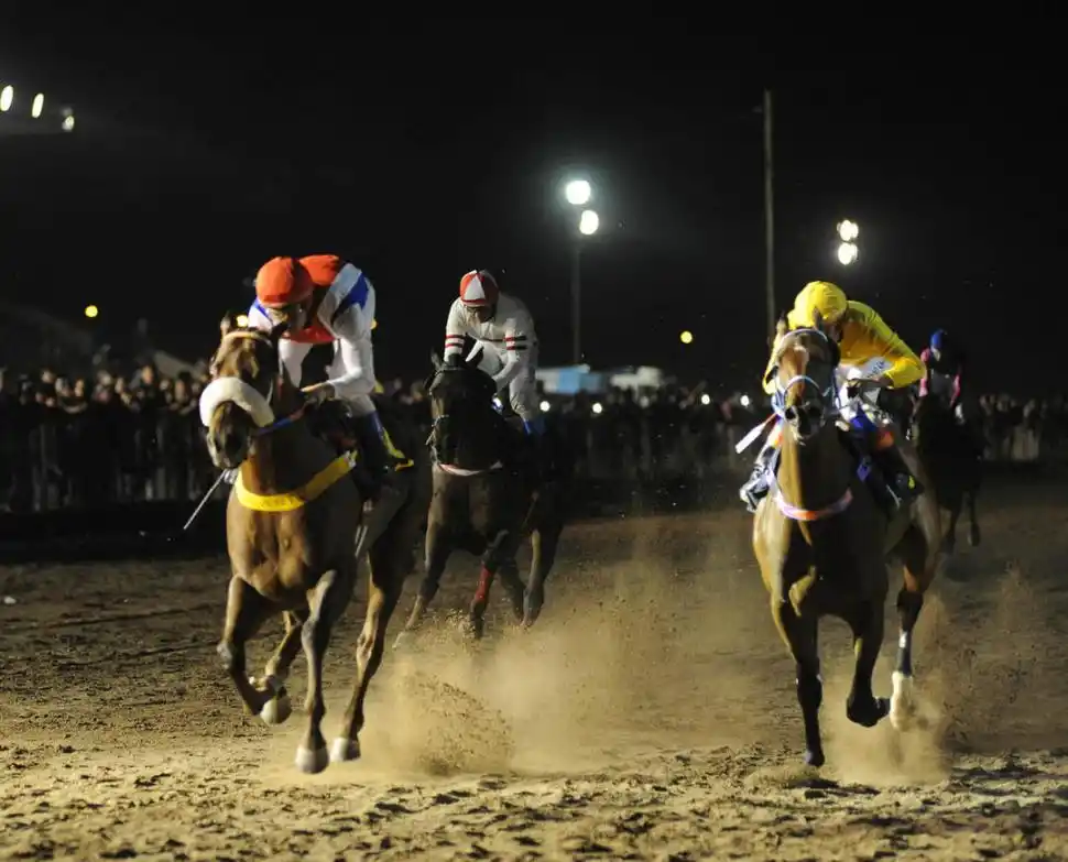 LOS PROTAGONISTAS DE LA GRAN CARRERA. Florencia Giménez, Cristian Caram, Luis Vai, Matías Basualdo, Mario Santos, Gerónimo García, Alcides Coronel, Daniel Gómez, Roberto Pinillo, Sergio Barrionuevo, Gustavo Calvente y Juan Carlos Noriega fueron los jockeys que compitieron en la edición N° 63 del Gran Premio “Batalla de Tucumán”. Finalmente, Caram fue el que festejó sobre la montura de El Vodevil. la gaceta / fotos de hector peralta