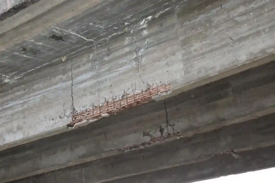  la gaceta / fotos de matías quintana