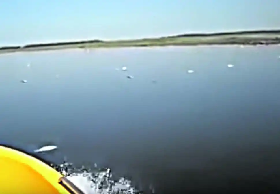 En el Pasaje Río Negro nadie respeta nada: estacionan como quieren