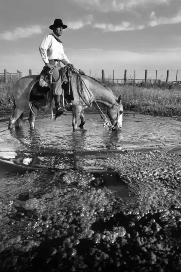 El gaucho, ayer y siempre *