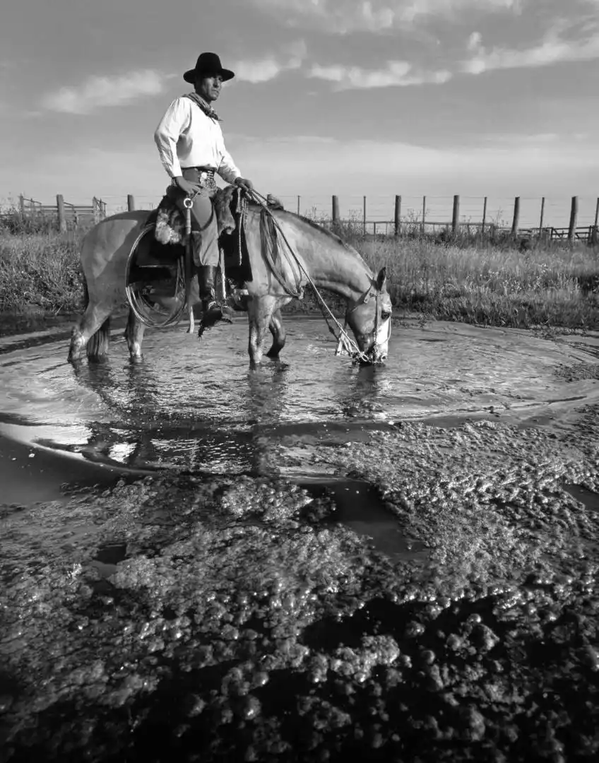 El gaucho, ayer y siempre *