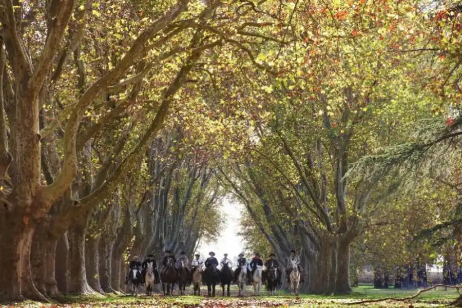 El gaucho, ayer y siempre *