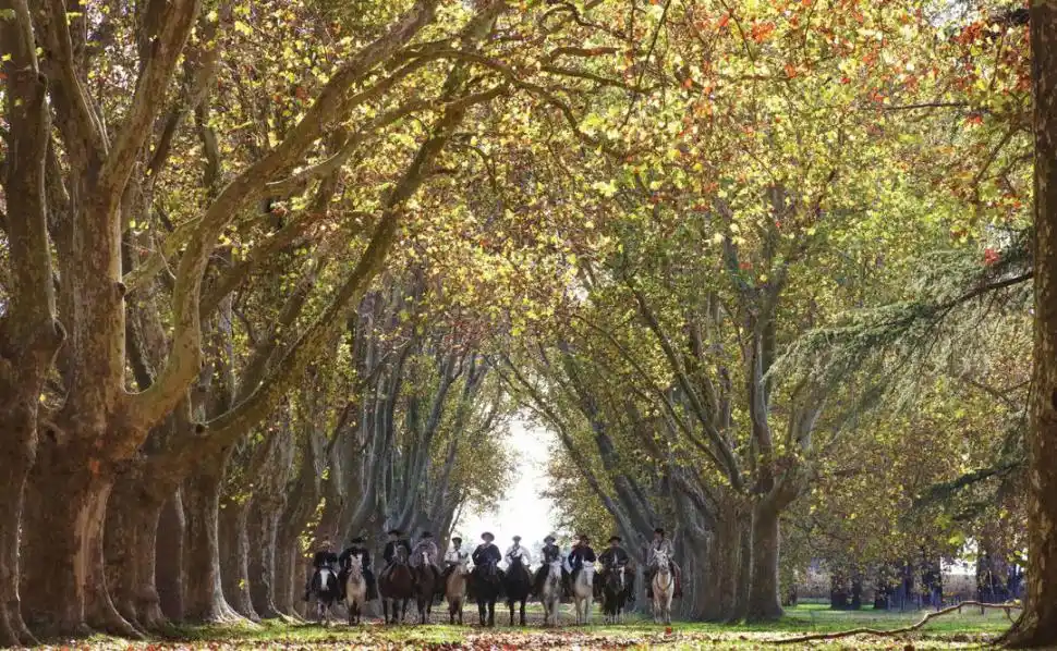 El gaucho, ayer y siempre *