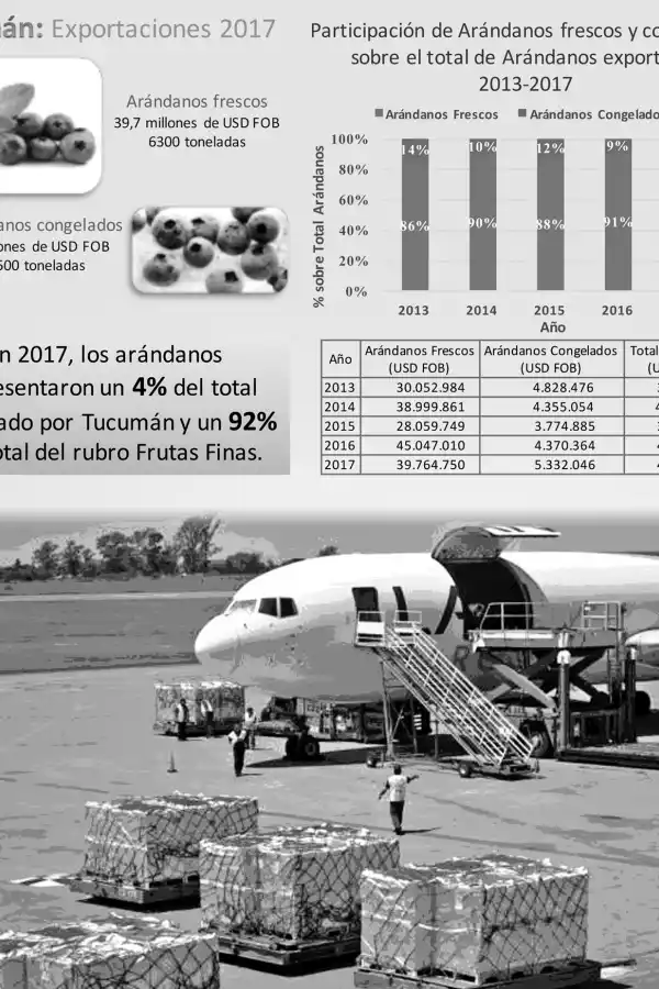 INFOGRAFÍA ARÁNDANOS.
