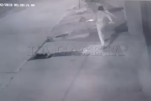 Video: un ladrón estuvo varios minutos tratando de arrancar un reflector