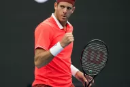 Del Potro ganó y jugará semifinales en Beijing