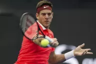 Del Potro avanza a la final en Pekín por la baja de Fognini