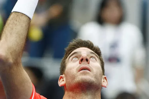 Del Potro, igual a “Batata”