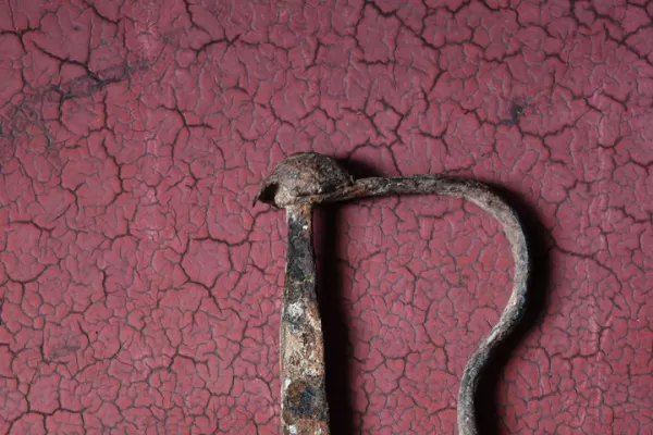 ›› Cartas de lectores