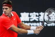 Ni la gripe frenó a Del Potro, que luchó y ganó en su debut en Shangai