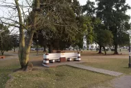 Los detalles del caso de la estatua, en ocho puntos clave