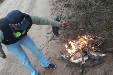Detectaron una carga de pescados atrapados de manera ilegal en Leales