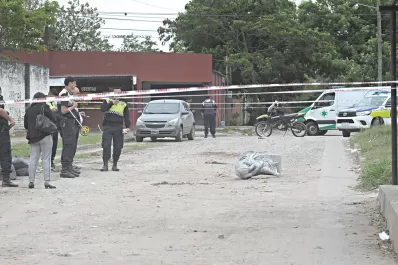 Un rostro y una mancha de sangre ayudarán a dar con los ladrones de la estatua del parque