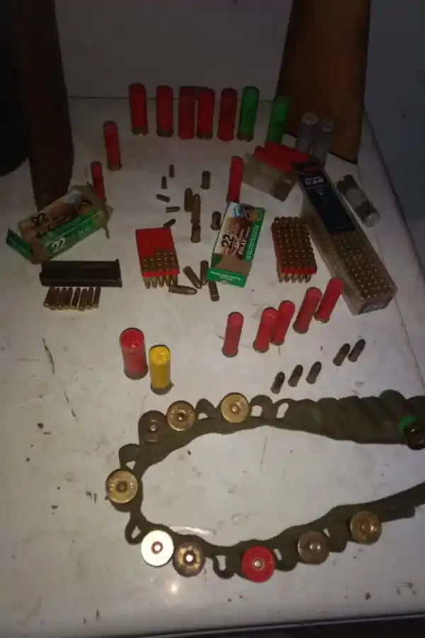 Secuestraron más de 5.000 municiones de armas de fuego en el sur de la provincia