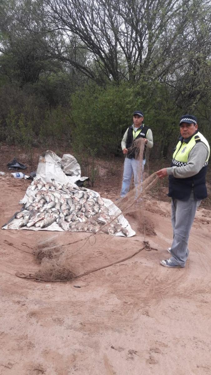 Detectaron una carga de pescados atrapados de manera ilegal en Leales