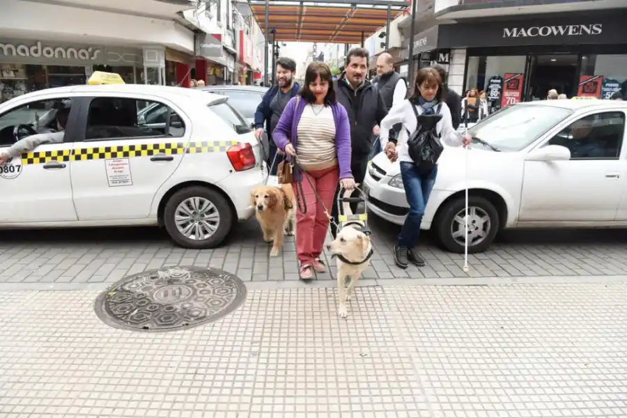 CRUCE DE CALLE. Los animales saben cuándo se puede pasar. 
