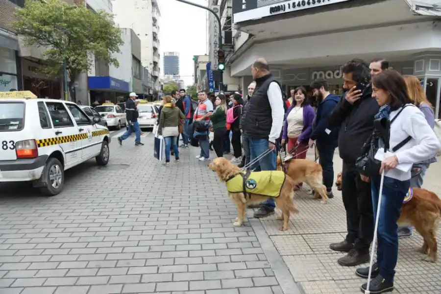 ANFITRIONES. René Font y Lupe.