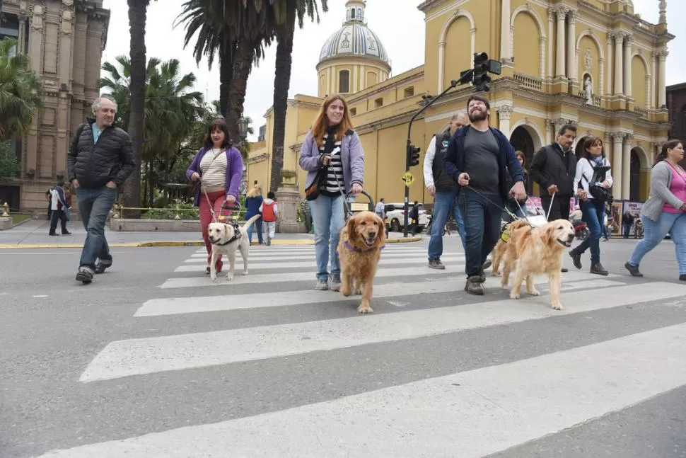 DE PASEO POR EL CENTRO. Cinthia Vega, Sol Campos y Patricio de Felipe acompañados por sus perros guía. LA GACETA / FOTOS DE ANALÍA JARAMILLO.-