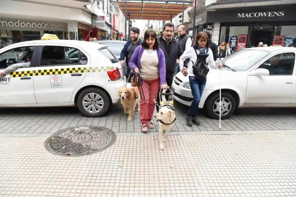 CRUCE DE CALLE. Los animales saben cuándo se puede pasar. 