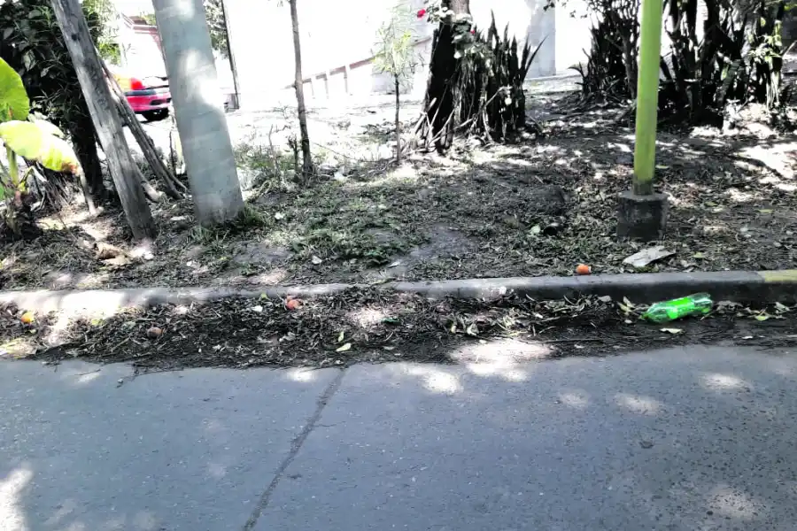 Suciedad acumulada en una rejilla pluvial de avenida Benjamín Aráoz al 1.300