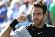 Pese a fracturarse la rodilla, Del Potro sigue cuarto en el ranking