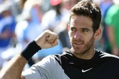 Pese a fracturarse la rodilla, Del Potro sigue cuarto en el ranking