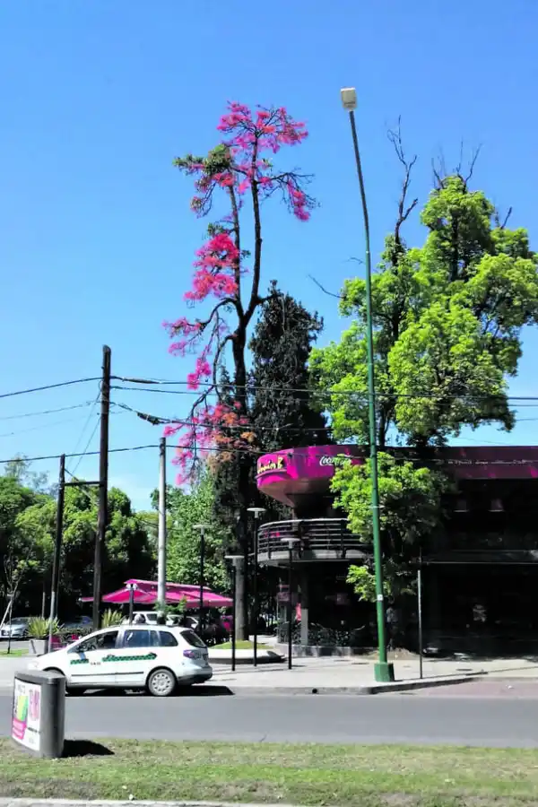 La camioneta se incrustó en un hoyo, donde debía estar una tapa cloacal