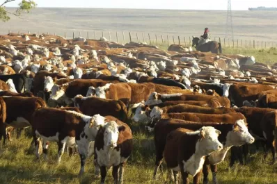 Ambientalistas piden a países ricos consumir menos carne