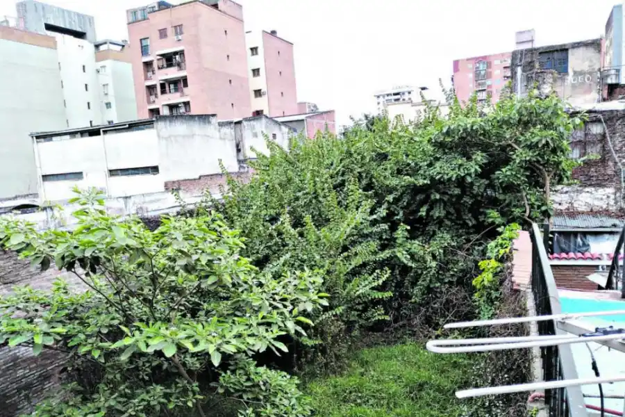Se vienen las grandes lluvias y una acequia carece de limpieza