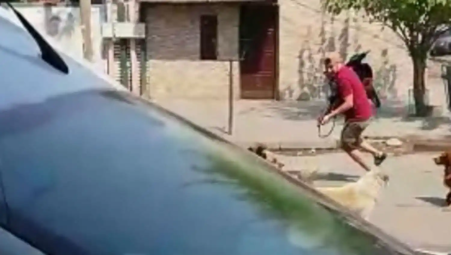 Un video dejó al descubierto el poder de fuego de Los Toro