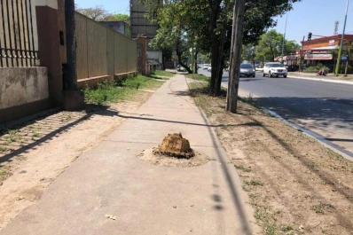 Ancianos, personas con discapacidad y mamás con bebés enfrentan desniveles y obstáculos