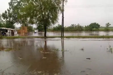 La lluvia anegó caminos y desbordó canales en el sur