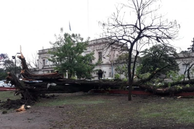 Los fuertes vientos provocaron caída de árboles y la voladura de un techo en la capital
