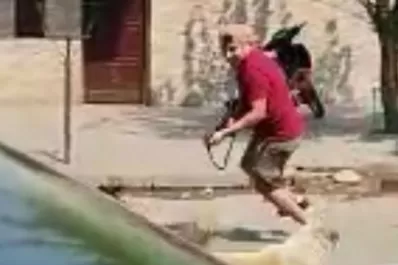 Un video dejó al descubierto el poder de fuego de Los Toro