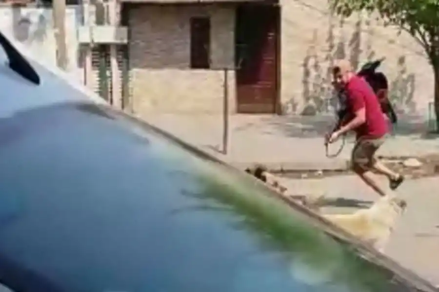 Un video dejó al descubierto el poder de fuego de Los Toro