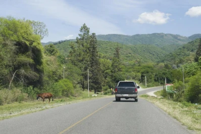 En Raco, el comisionado quiere poner reductores de velocidad