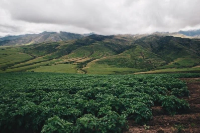 Apuestan a seguir creciendo y aportando al Valle de Tafí