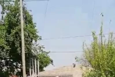 Un video mostraría a los miembros del Clan Toro usando una ametralladora en un ataque