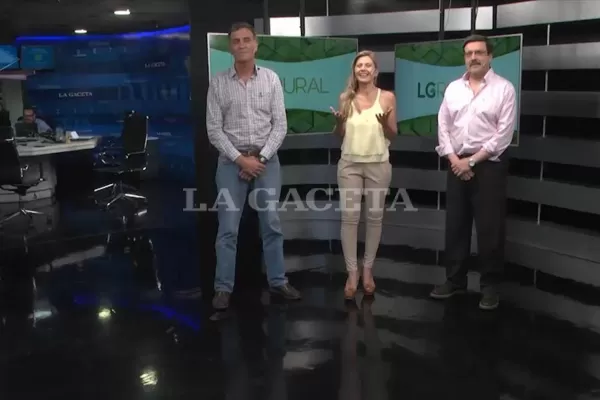Mirá el LG Rural TV: toda la actualidad del mundo agrícola