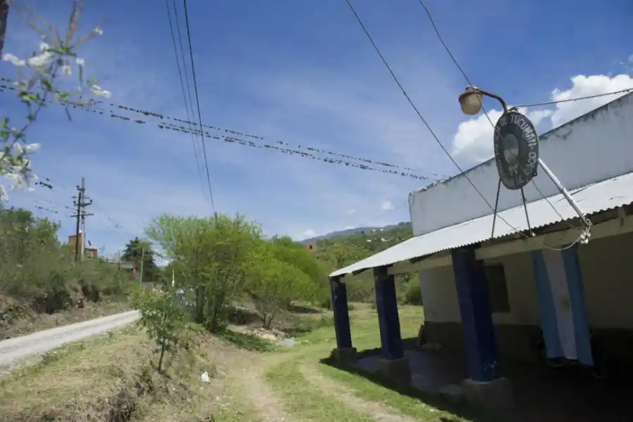 SIN CONTROL. Caballos y vacas sin marcas de ningún tipo pastan a la orilla y con frecuencia cruzan la ruta 341.  