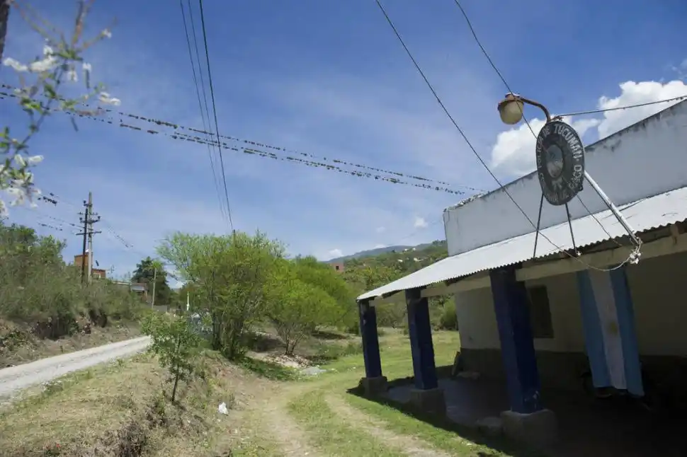 SIN CONTROL. Caballos y vacas sin marcas de ningún tipo pastan a la orilla y con frecuencia cruzan la ruta 341.  