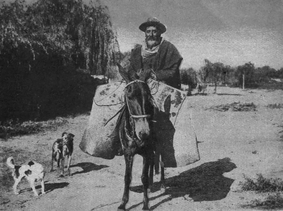 UN JINETE TAFINISTO. De los años 1910 es esta fotografía, donde “Don Monasterio” lleva guardamontes, nada usuales en el valle. 