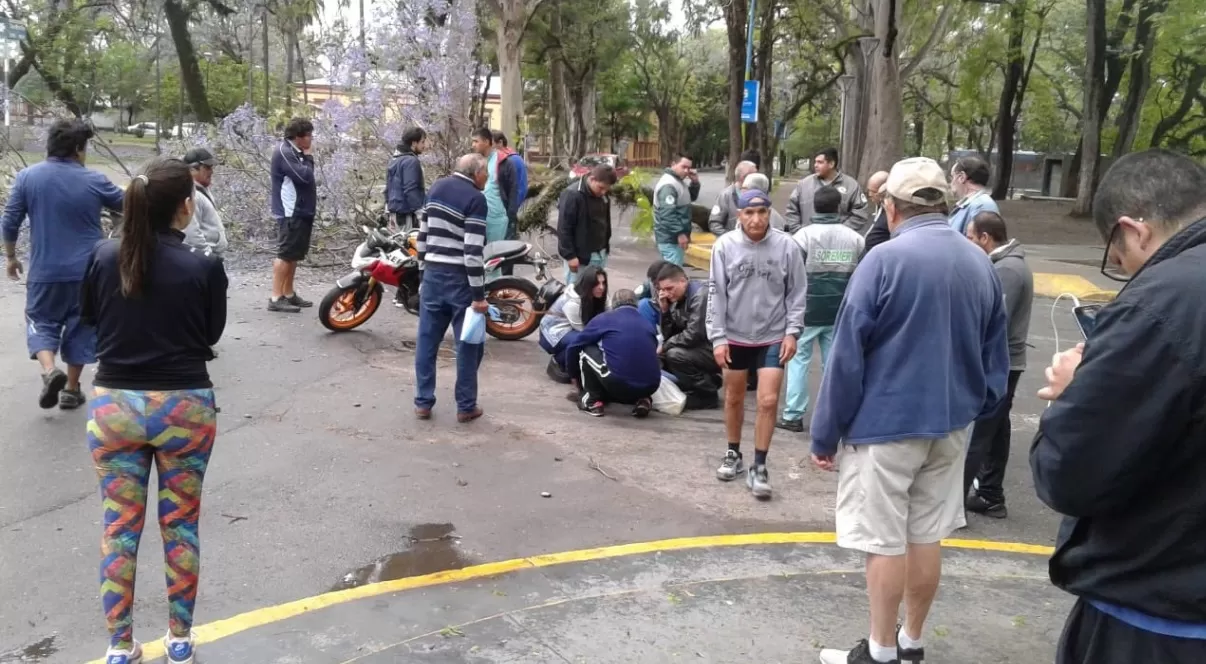 Se desplomó un árbol en el parque Avellaneda e hirió a un motociclista