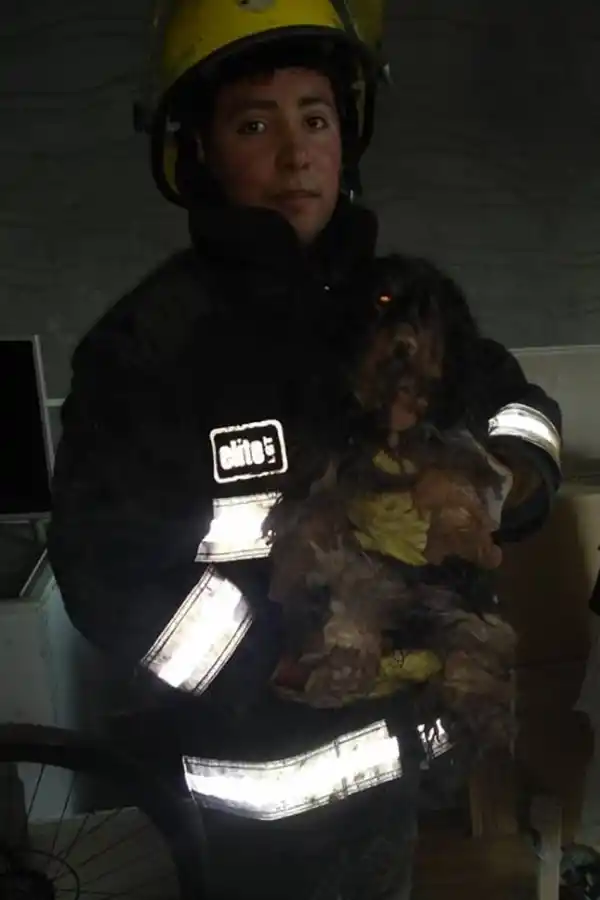 RESCATADO. Uno de los bomberos sostiene a la mascota.