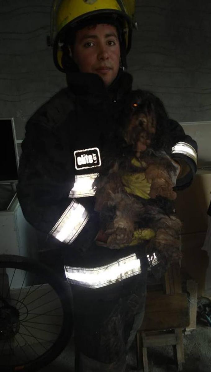 RESCATADO. Uno de los bomberos sostiene a la mascota.