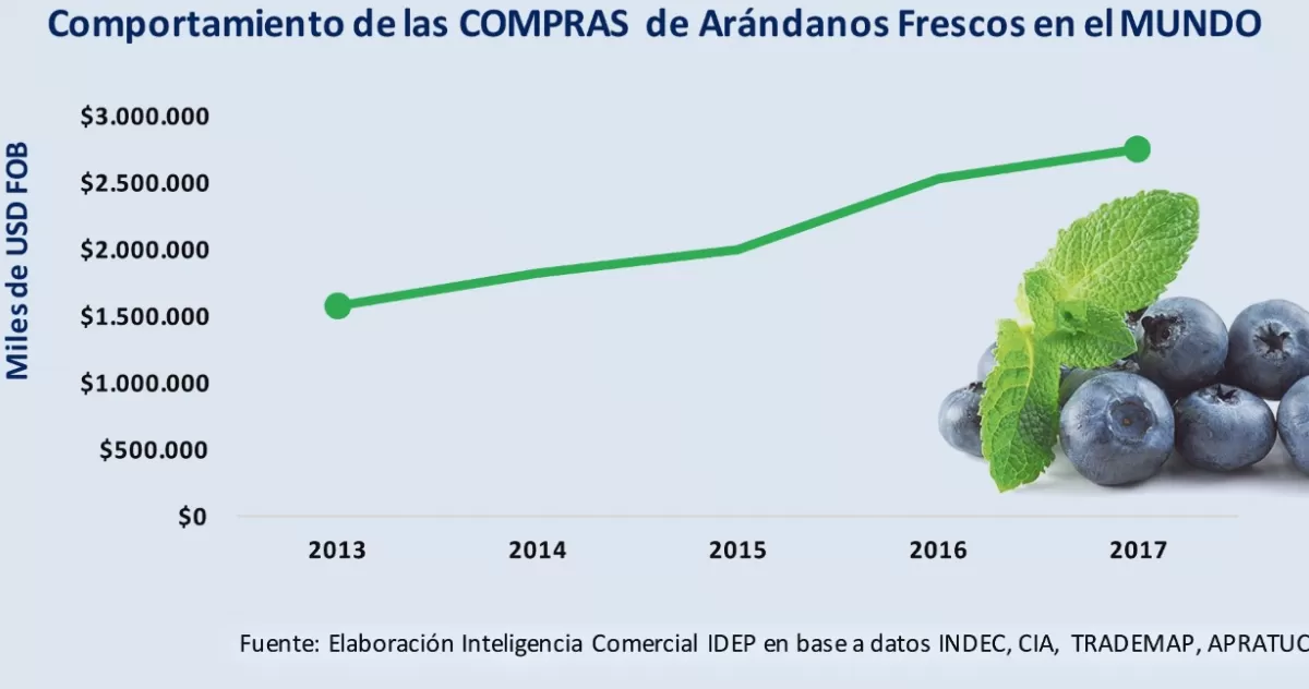 En tiempo récord, China avala la compra de arándano tucumano