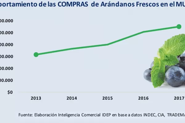 En tiempo récord, China avala la compra de arándano tucumano