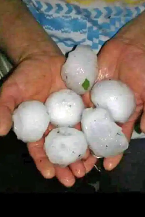 GRANIZO. El tamaño de algunas de las piedras que cayeron en el sur.
