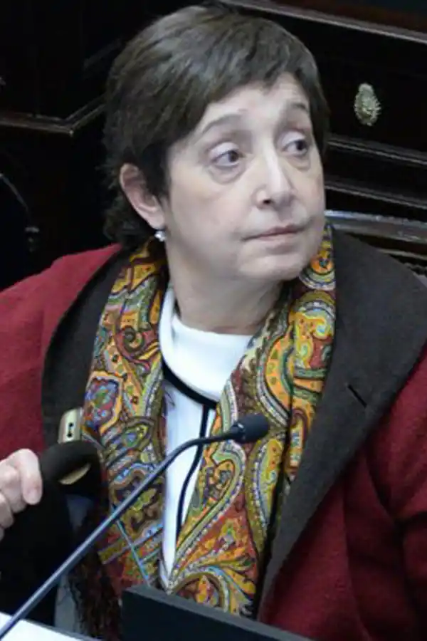SENADORA NACIONAL. Mirkin es integrante del equipo alperovichista. 