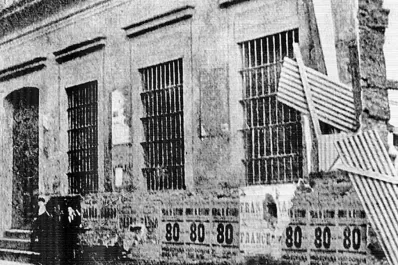 Plantas y más plantas